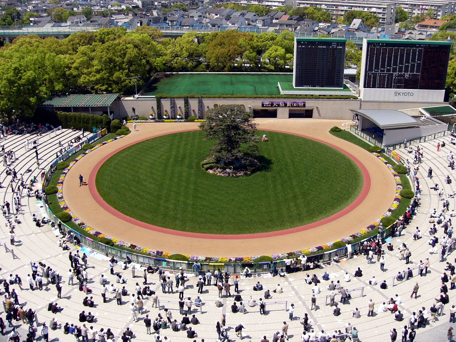 🏇 교토 경마장 이미지 7